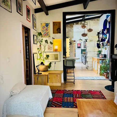 Loft Avec Jardin Centre * 波尔多
